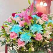 ヒメ日記 2026/03/24 13:27 投稿 雪平奈々 ローテンブルク