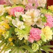 ヒメ日記 2026/03/31 17:53 投稿 雪平奈々 ローテンブルク