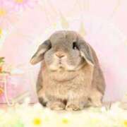 ヒメ日記 2026/04/03 19:27 投稿 雪平奈々 ローテンブルク