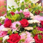 雪平奈々 昨日の有難う ローテンブルク