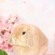 雪平奈々 今日の有難う ローテンブルク