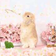 ヒメ日記 2026/04/20 15:32 投稿 雪平奈々 ローテンブルク