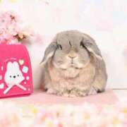 ヒメ日記 2026/04/21 20:20 投稿 雪平奈々 ローテンブルク