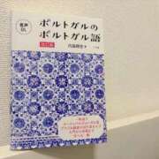 雪平奈々 ポルトガル語 ローテンブルク
