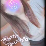 ヒメ日記 2025/04/04 11:19 投稿 菜穂(なほ) 可憐な妻たち 太田店