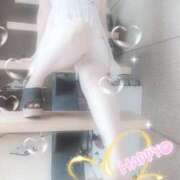 ヒメ日記 2025/09/14 14:30 投稿 菜穂(なほ) 可憐な妻たち 太田店