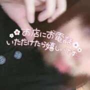 ヒメ日記 2025/11/03 11:03 投稿 菜穂(なほ) 可憐な妻たち 太田店