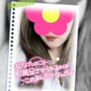 ヒメ日記 2025/11/02 11:39 投稿 沢城 あいか 汝々艶 梅田店