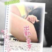 ヒメ日記 2026/02/09 06:00 投稿 沢城 あいか 汝々艶 梅田店