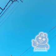 ヒメ日記 2024/03/11 08:54 投稿 ねこ チューリップ土浦店