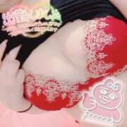 ヒメ日記 2024/12/30 06:20 投稿 ねこ チューリップ土浦店