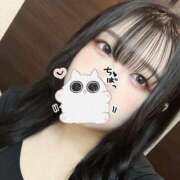 ヒメ日記 2025/01/01 21:20 投稿 ねこ チューリップ土浦店