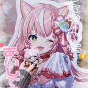 ヒメ日記 2025/02/08 14:50 投稿 ねこ チューリップ土浦店