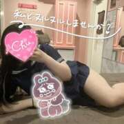 ヒメ日記 2025/03/12 06:11 投稿 ねこ チューリップ土浦店