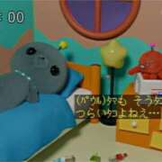 ヒメ日記 2025/03/13 18:51 投稿 ねこ チューリップ土浦店