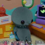 ヒメ日記 2025/03/14 10:28 投稿 ねこ チューリップ土浦店