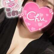 ヒメ日記 2025/03/15 12:32 投稿 ねこ チューリップ土浦店