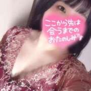 ヒメ日記 2025/03/15 14:50 投稿 ねこ チューリップ土浦店