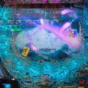 ヒメ日記 2025/03/28 13:00 投稿 ねこ チューリップ土浦店