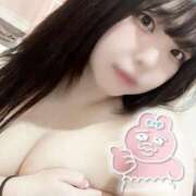 ヒメ日記 2025/04/05 11:50 投稿 ねこ チューリップ土浦店