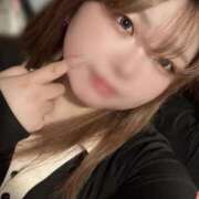 ヒメ日記 2025/04/06 09:20 投稿 ねこ チューリップ土浦店