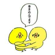 ヒメ日記 2025/04/06 14:20 投稿 ねこ チューリップ土浦店