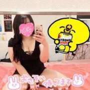 ヒメ日記 2025/04/08 00:20 投稿 ねこ チューリップ土浦店