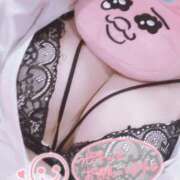 ヒメ日記 2025/04/08 06:20 投稿 ねこ チューリップ土浦店