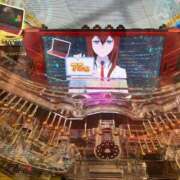 ヒメ日記 2025/04/27 11:29 投稿 ねこ チューリップ土浦店