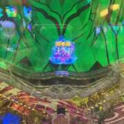 ヒメ日記 2025/05/11 04:08 投稿 ねこ チューリップ土浦店