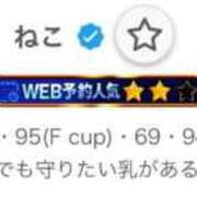 ヒメ日記 2025/05/12 11:18 投稿 ねこ チューリップ土浦店