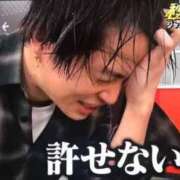 ヒメ日記 2025/06/09 21:28 投稿 ねこ チューリップ土浦店