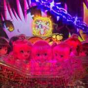 ヒメ日記 2025/06/11 10:58 投稿 ねこ チューリップ土浦店