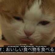 ヒメ日記 2025/06/12 09:35 投稿 ねこ チューリップ土浦店