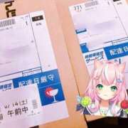 ヒメ日記 2025/06/14 17:08 投稿 ねこ チューリップ土浦店