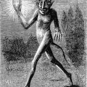 ヒメ日記 2025/06/14 20:21 投稿 ねこ チューリップ土浦店