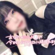 ヒメ日記 2025/06/15 08:13 投稿 ねこ チューリップ土浦店