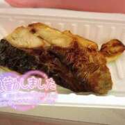 ヒメ日記 2025/06/15 19:11 投稿 ねこ チューリップ土浦店