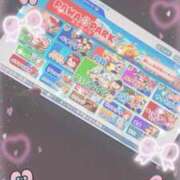 ヒメ日記 2025/06/16 10:08 投稿 ねこ チューリップ土浦店