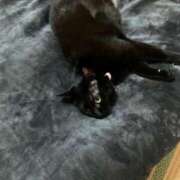 ヒメ日記 2025/06/18 07:18 投稿 ねこ チューリップ土浦店