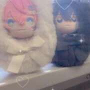 ヒメ日記 2025/06/19 10:38 投稿 ねこ チューリップ土浦店