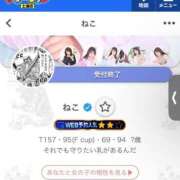 ヒメ日記 2025/07/14 19:48 投稿 ねこ チューリップ土浦店