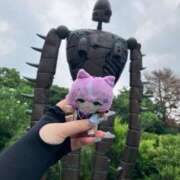 ヒメ日記 2025/07/18 12:14 投稿 ねこ チューリップ土浦店