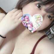 ヒメ日記 2025/07/20 12:12 投稿 ねこ チューリップ土浦店