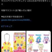 ヒメ日記 2025/07/20 17:07 投稿 ねこ チューリップ土浦店