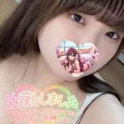 ヒメ日記 2025/08/22 12:18 投稿 ねこ チューリップ土浦店