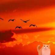 ヒメ日記 2025/08/23 15:58 投稿 ねこ チューリップ土浦店