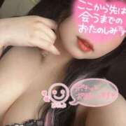 ヒメ日記 2025/08/24 12:40 投稿 ねこ チューリップ土浦店