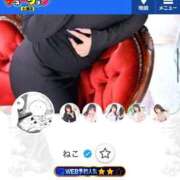 ヒメ日記 2025/09/08 17:28 投稿 ねこ チューリップ土浦店