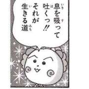 ヒメ日記 2025/10/09 13:38 投稿 ねこ チューリップ土浦店